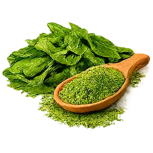 Glycorium — Grüntee-Extrakt (Camellia sinensis)