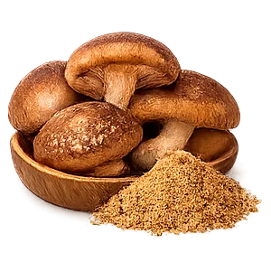 Glycorium — Shiitake-Extrakt (Lentinula edodes)